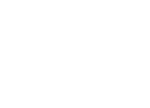 Website_Logo_weiß_transp Website_Logo_weiß_transp